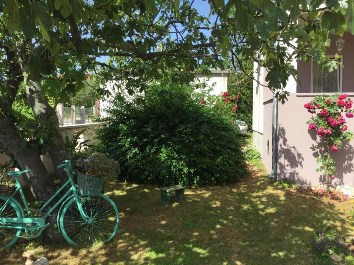 Apartments Adrian ビビニェ エクステリア 写真
